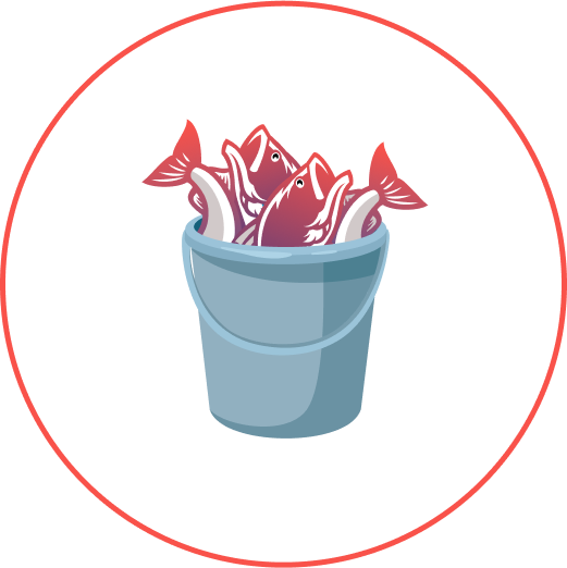 Shark Bait Basic Membership - Shark Coast Tactical - Monthly Shark Club
